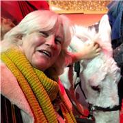 🇩🇪 DEUTSCH 📚 lernen, üben, sprechen‼️💻 Divertirse hablando ALEMÁN‼️ con Pedagoga NATIVA, licenciada ! Niveles A/B/C